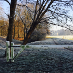 De Groene Kolenboer